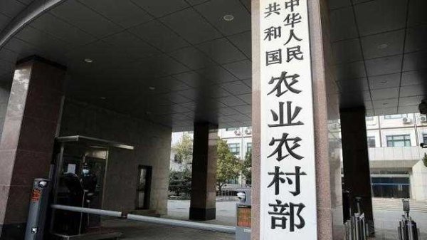 钻石配资 农业农村部：着力培育壮大优势种业企业 聚焦种业阵型企业进一步加大支持