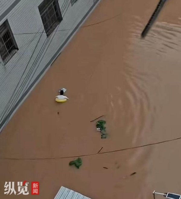 财汇盈 家属回应“一中考生因暴雨带救生圈蹚水赶考”：安全抵达考场