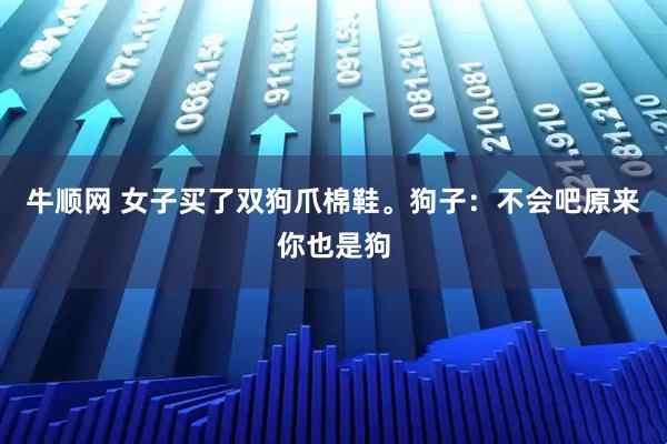 牛顺网 女子买了双狗爪棉鞋。狗子:不会吧原来你也是狗